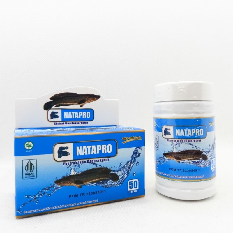 Jual Ash shihah Pro Albumin Natapro Ekstrak Ikan Gabus 50 Kapsul ...