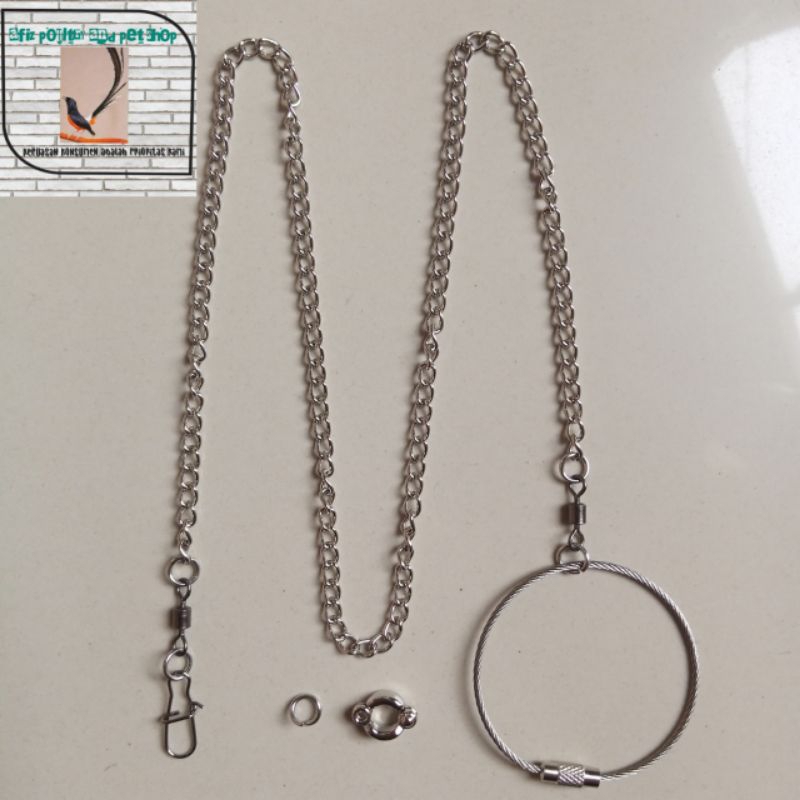Jual RANTAI KAKI BURUNG BAJA TAHAN KARAT UJUNG RING BORGOL NO 6 ...