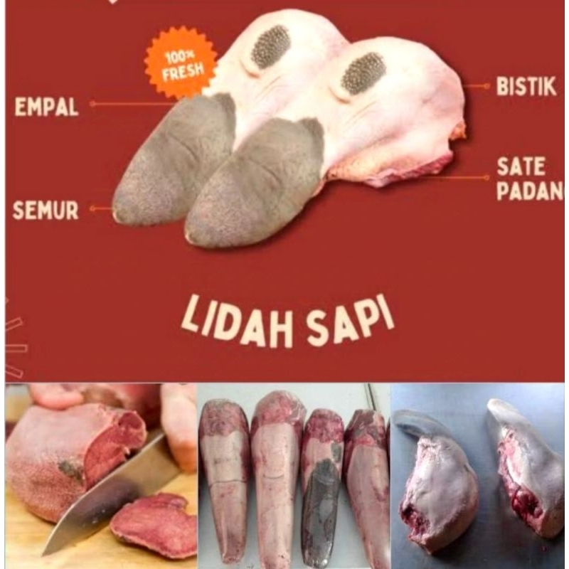 Jual lidah sapi 1 kg | Shopee Indonesia
