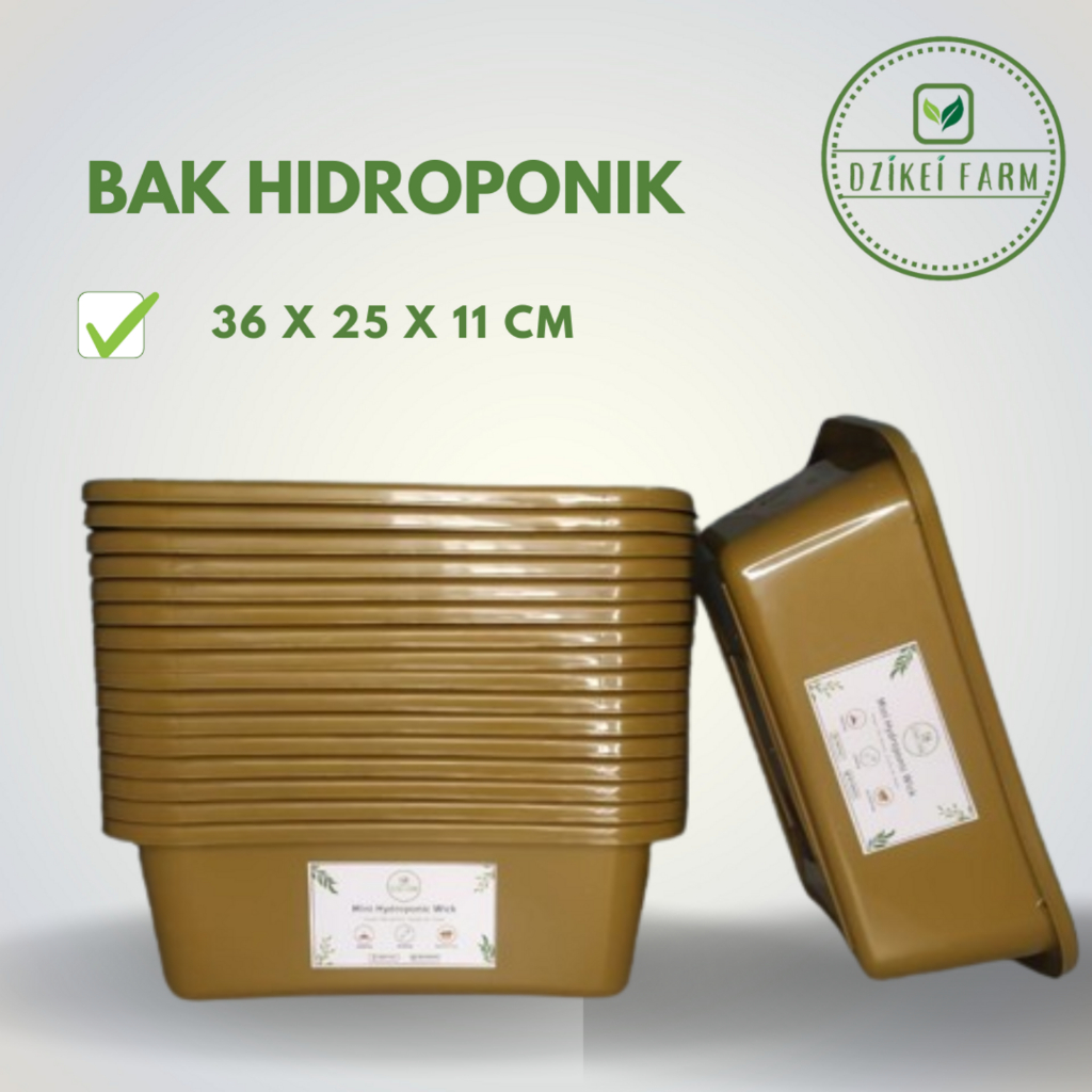 Bak Hidroponik Segi Untuk Wick Sistem bisa untuk Bak Pasir Kucing