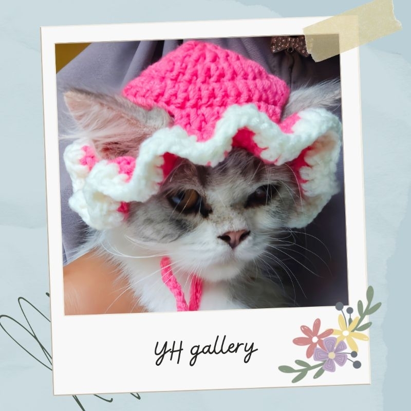 Jual TOPI KUCING RAJUT | Shopee Indonesia