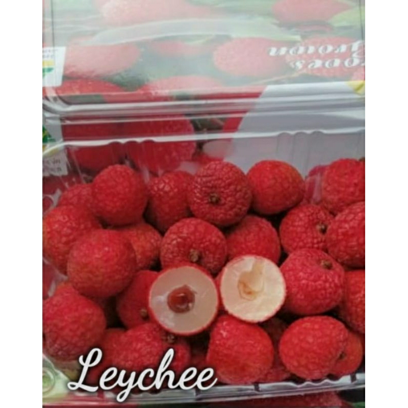 Jual leci RRC 500gr pack | Shopee Indonesia