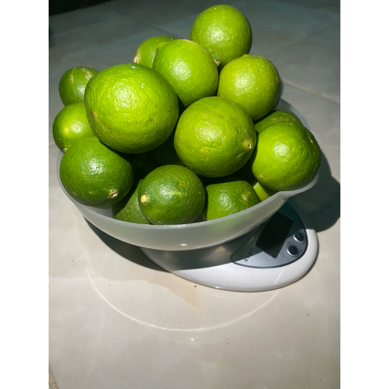 Jual JERUK NIPIS 1kg (ukuran RANDOM) baru petik dari kebun sendiri ...