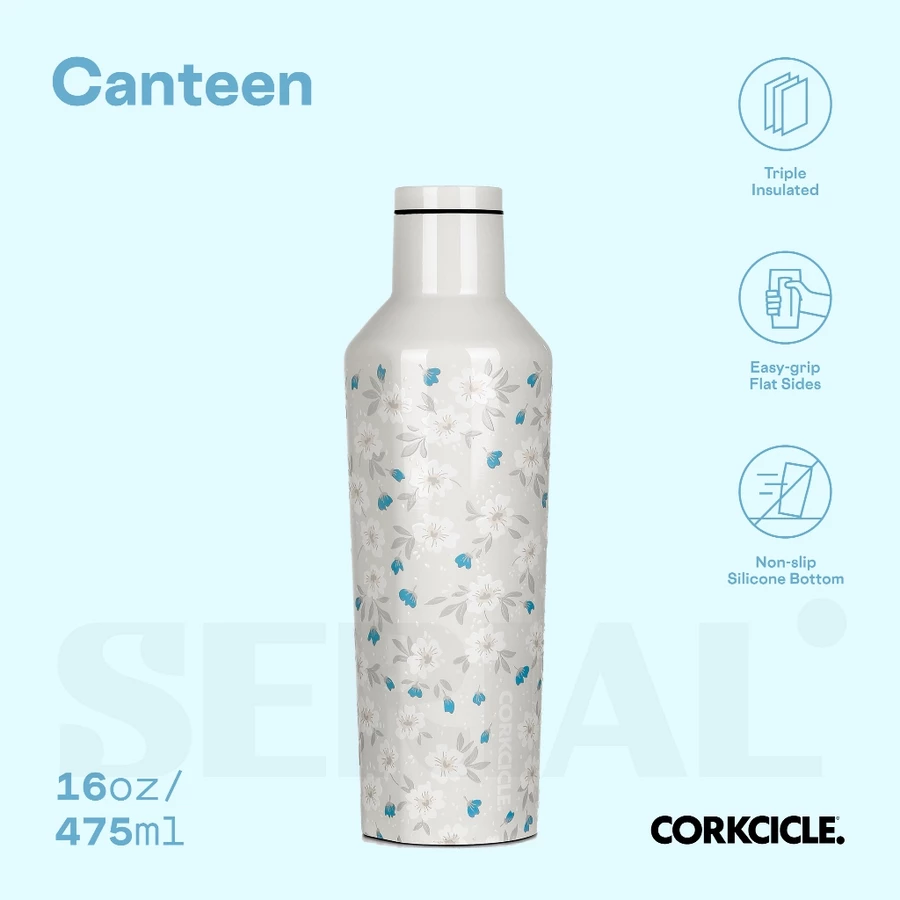 CORKCICLE Canteen