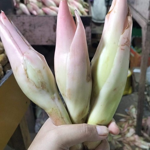 Jual Onje / Kecombrang / Comberang / Kincung / Bunga Rias Batak 200gr ...