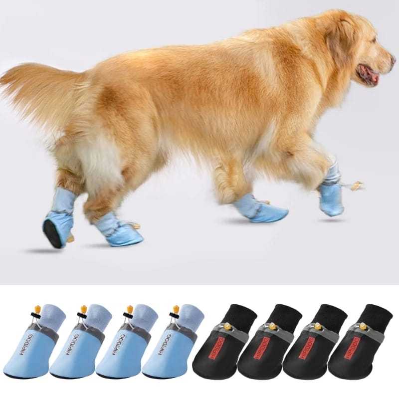 Jual Sepatu anjing/kucing DP-SHS-15 | Shopee Indonesia