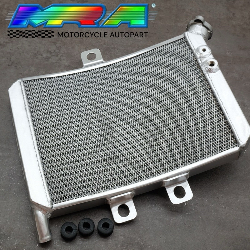 Jual RADIATOR GEMBOT THAILAND NINJA R SS RR | Shopee Indonesia