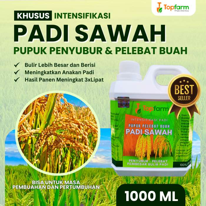 Pupuk Padi Sawah Terbaik / Pupuk Padi Sawah Terbaik / Pupuk Padi Semprot Penyubur / Pupuk Padi Pelebat Buah / Pupuk Cair Untuk Padi Sawah / Pupuk Pembesar Buah Padi