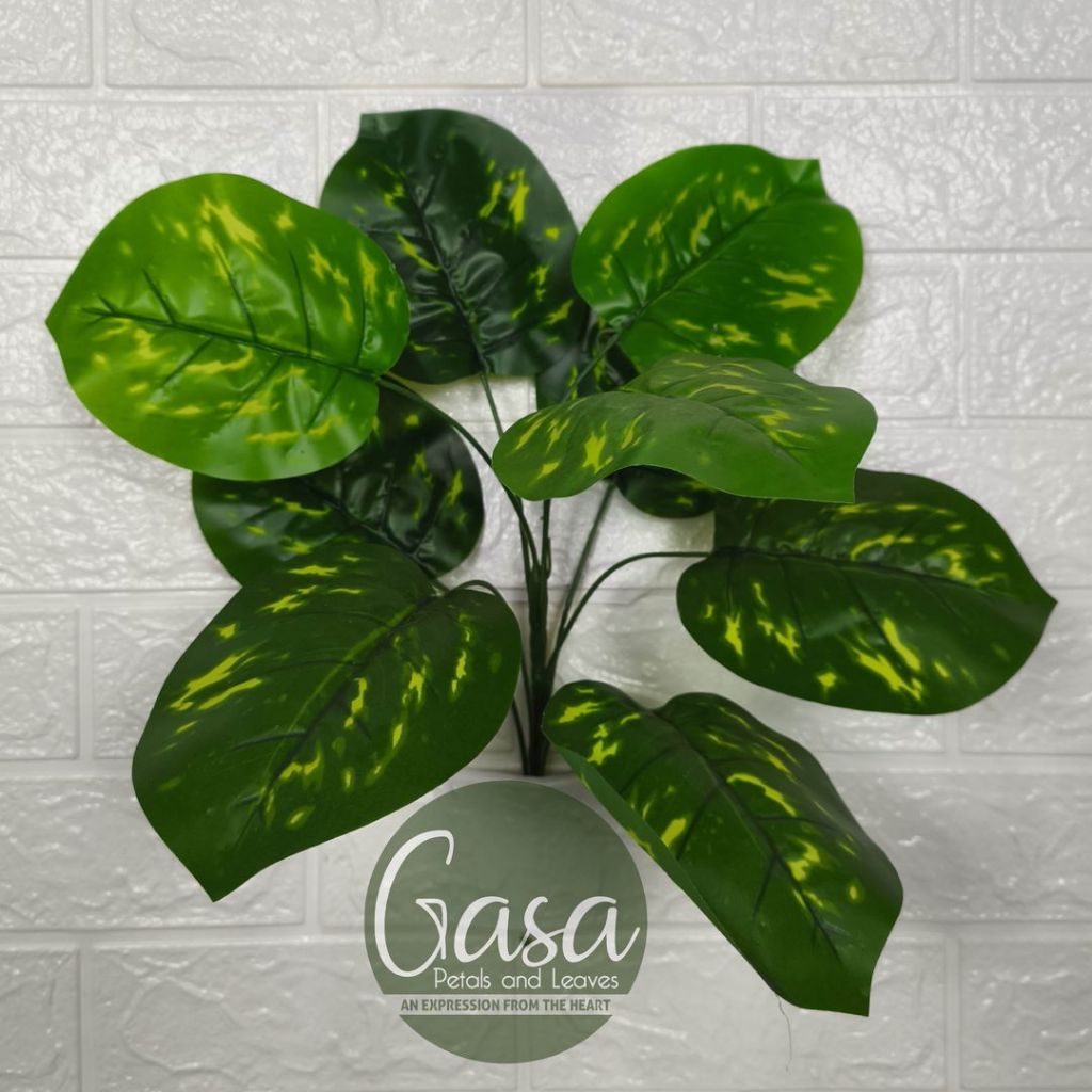 Jual Tanaman Calathea Stain Green - Artifisial Semi Lateks - GASA ...
