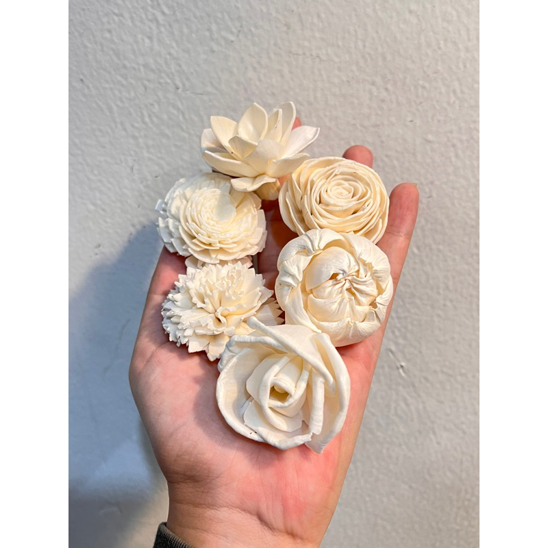 Jual Sola wood flower 4-6cm / Bunga Sola Difuser Hiasan Dekorasi Rumah ...