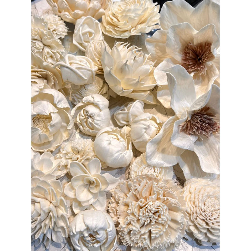 Jual Sola Wood Flower 8cm / Bunga Sola Difuser Hiasan Dekorasi Rumah ...
