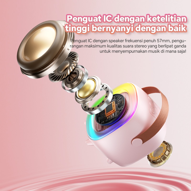 Jual Mini Bluetooth Speaker Karaoke 2Mic 1 Set Portable Wireless RGB ...