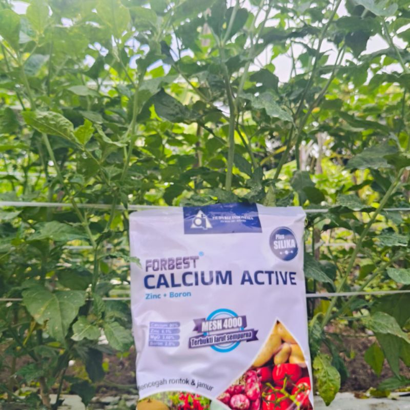 Jual Pupuk FORBEST CALCIUM ACTIVE 1kg Mencegah Kerontokan Daun Bunga ...