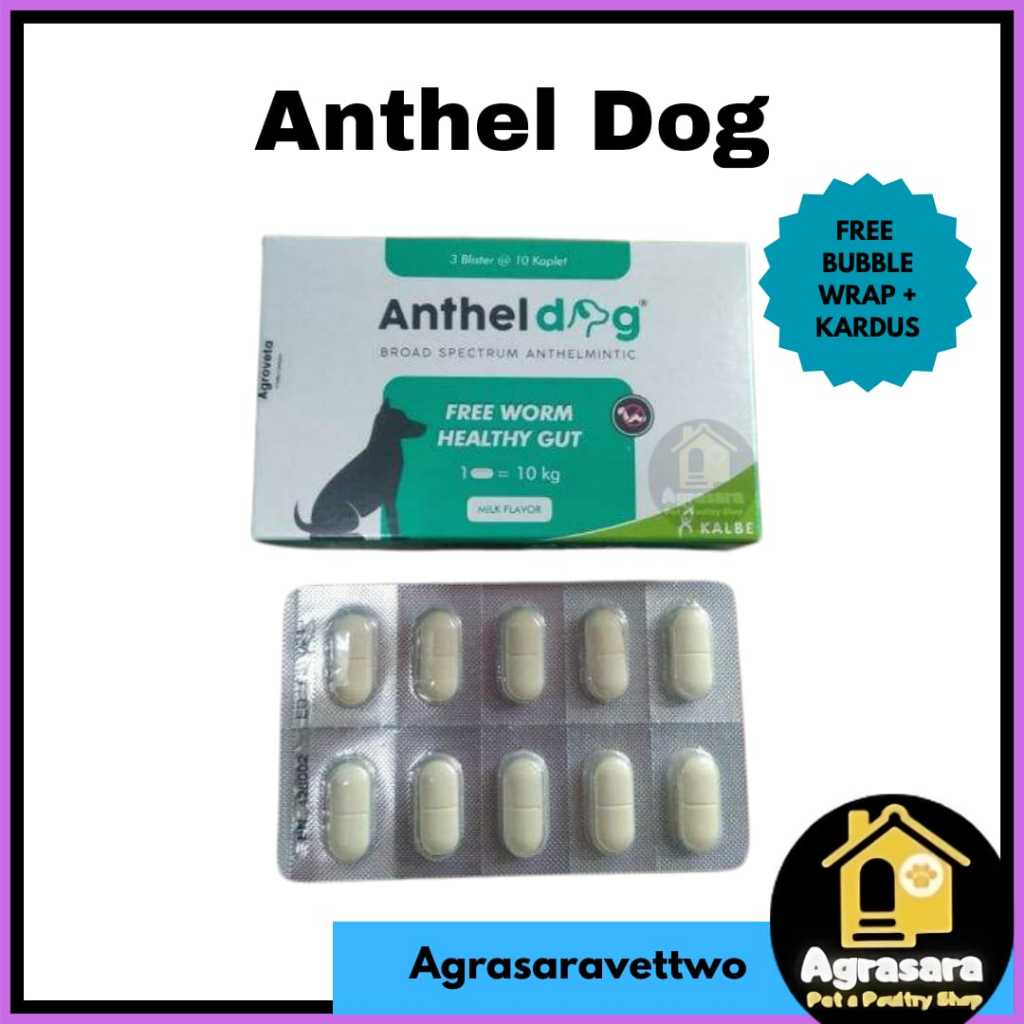 Jual ANTHEL DOG 1 TABLET (KEMASAN BLISTER) - Obat cacing anjing like ...