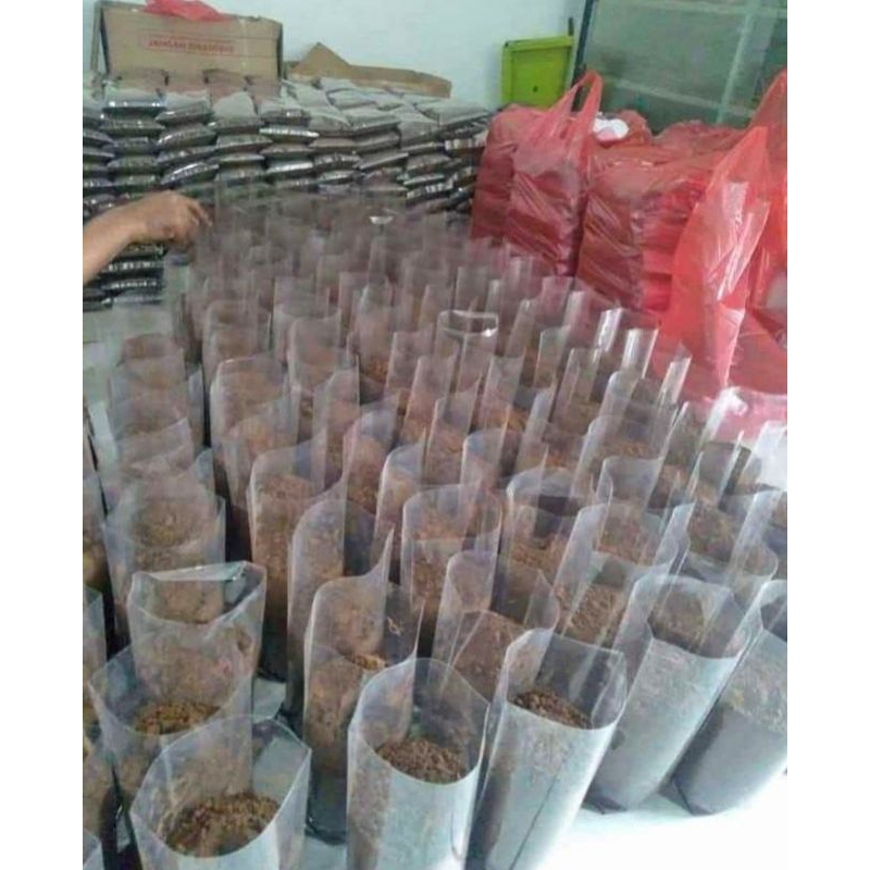 Jual (GROSIR) KOPI BUBUK ASLI 1KG KOPI MADURA SUPER ENAK HARGA PARTAI