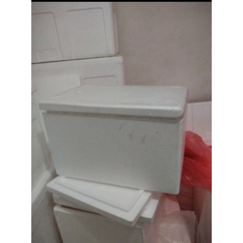 Jual Box Styrofoam Dalam (Benur) | Shopee Indonesia