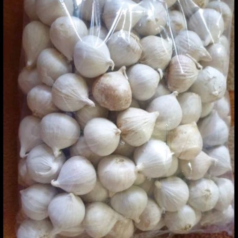 Jual Bawang Putih Tunggal Impor Fresh Rata Ukuran Campur 250 gram ...