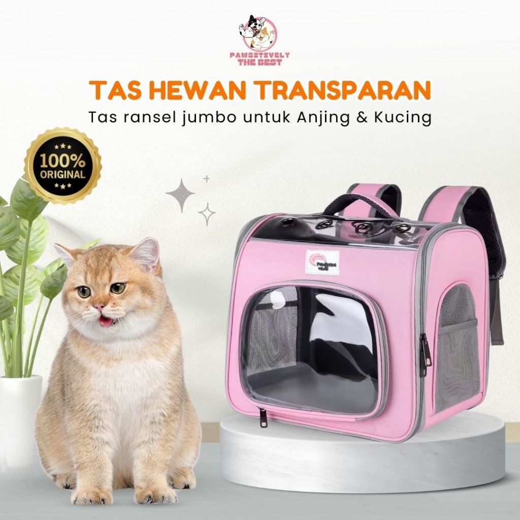 Jual Tas Ransel Hewan Transparan Travel Bag Anjing Kucing Jumbo Pet Rucksack Backpack Anabul Carrier Bag Tas Kucing Anjing Jumbo Pet Travel Big Size Shopee Indonesia