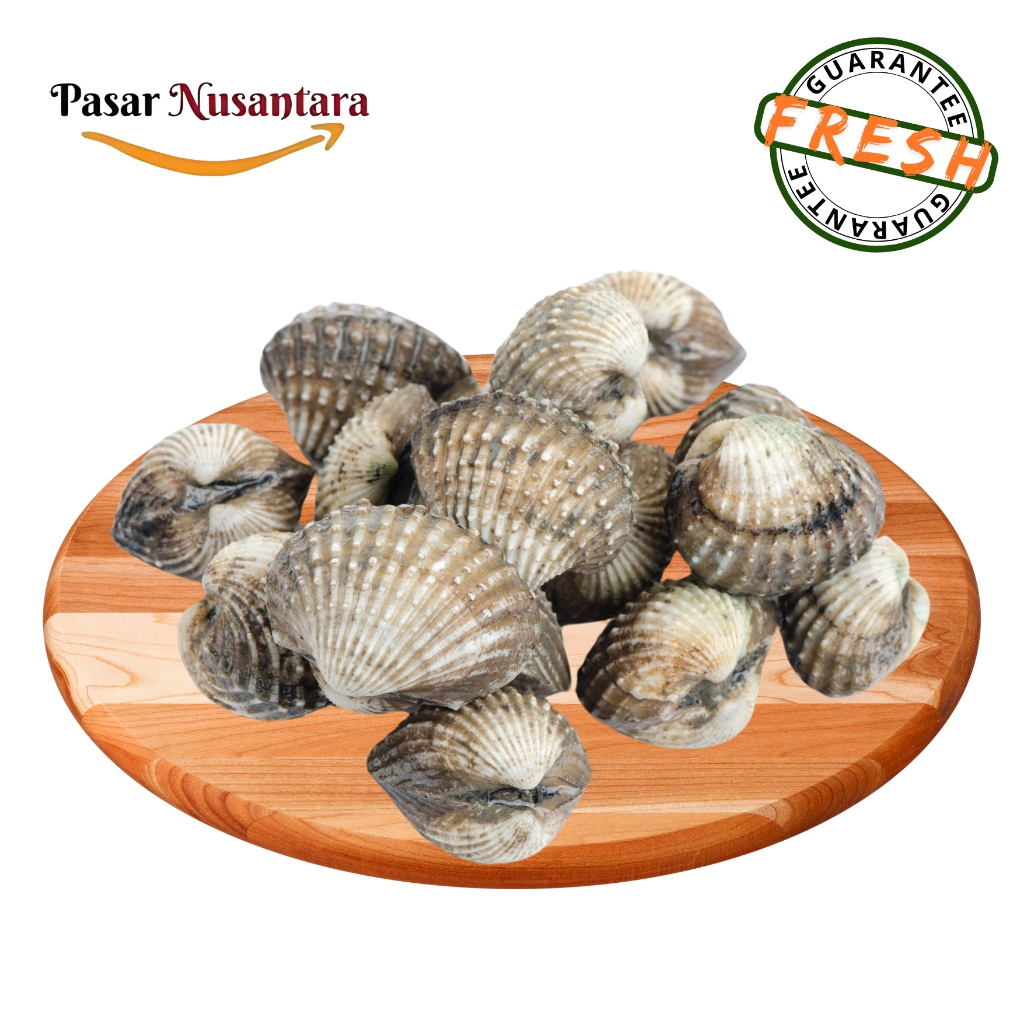 Jual Kerang dara 1 kg - Pasar Nusantara | Shopee Indonesia