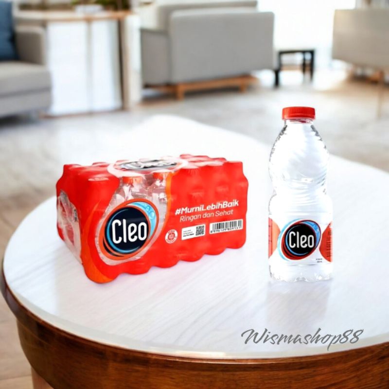 Jual CLEO BOTOL MINI KEMASAN 220ML 1 PAK ISI 24 BOTOL | Shopee Indonesia
