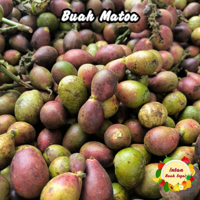 Jual BUAH MATOA 1KG FRESH MANIS BANGET / BUAH MATOA 3 RASA ASLI PAPUA