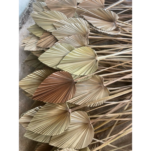 daun palem mini dekorasi rustic