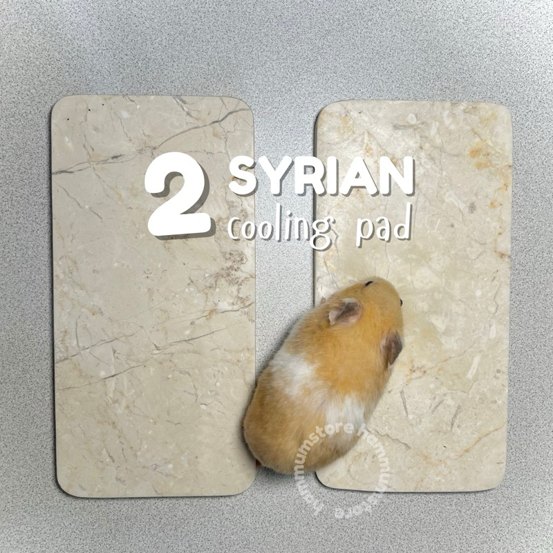 Jual HAMSTER COOLING PAD MARBLE Tempat Tidur Hamster Dingin