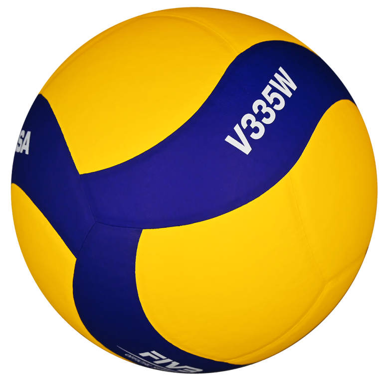 Mikasa MVA30 バレーボール DENSO AIRY BEES サイン入（ミント