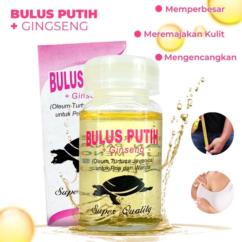Jual Promo Minyak Bulus Putih ORIGINAL Mesaage OIL Pengencang Pembesar ...