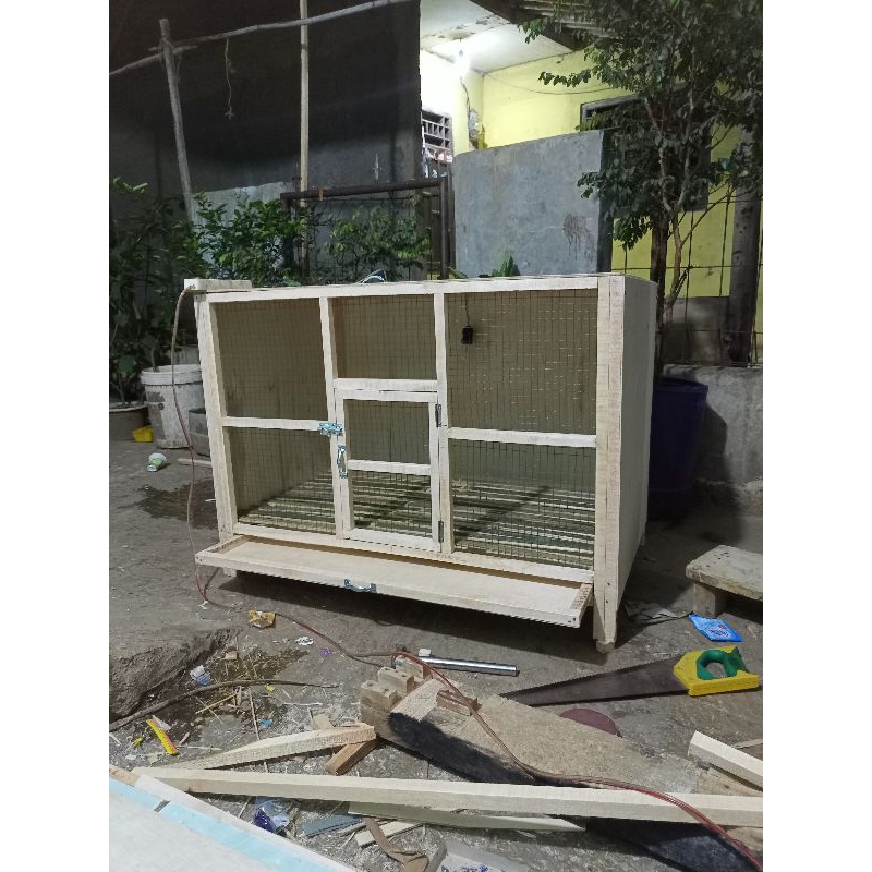 Jual Pitik Pitikan Terlengkap & Harga Terbaru Juni 2026 | Shopee Indonesia