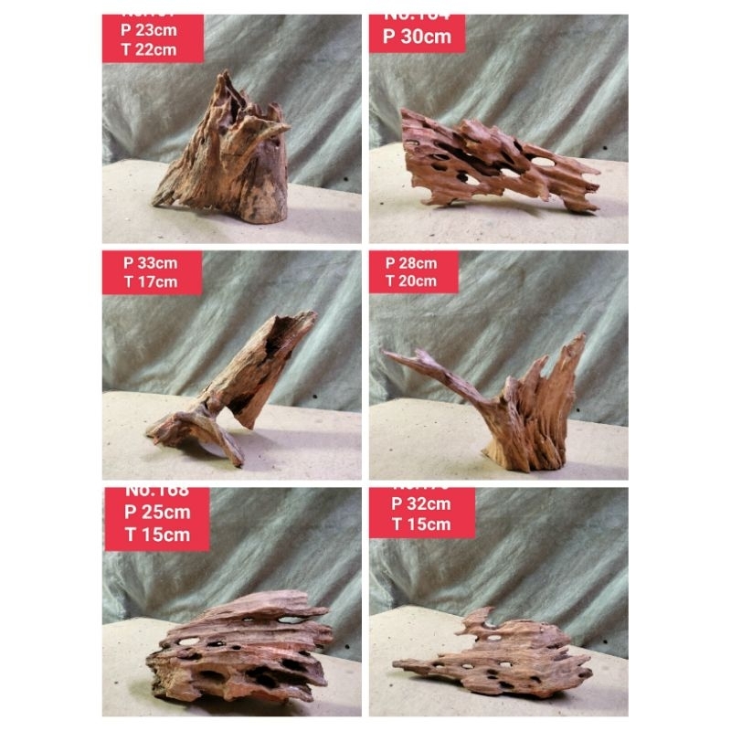 Jual kayu rentek drift Wood kayu gunung dekorasi aquascape aquarium 161 ...