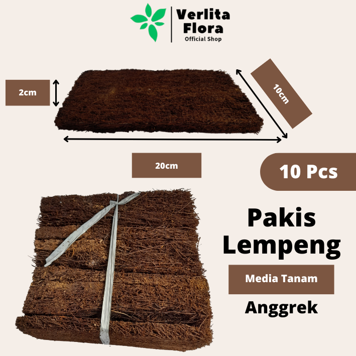 Pakis Lempeng 1Iket (isi 10 Pcs) Media Tanam Anggrek