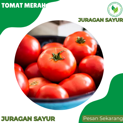 Jual Tomat Merah 1 kg Tomat 1 kg Sayur Premium dan Fresh Juragan