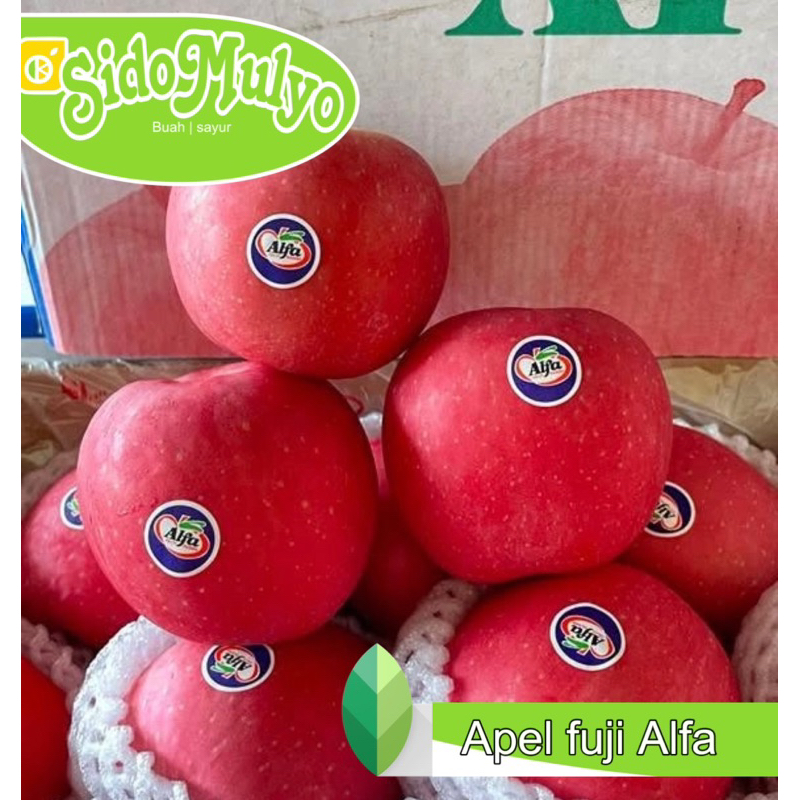Jual Apel Fuji Alfa premium fresh manis(1kg) | ud sidomulyo fresh ...