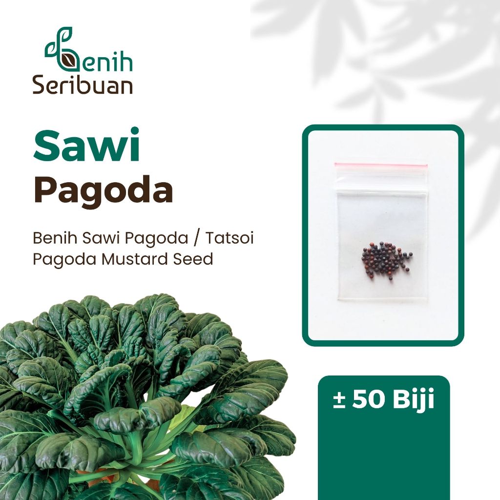 Jual Benih Seribuan - 50 Benih Sawi Pagoda Unggulan | Shopee Indonesia
