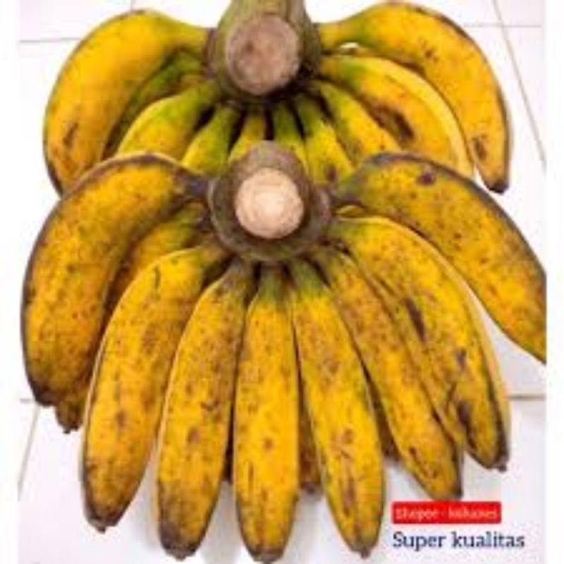 Jual PISANG RAJA HARGA PER KG BELI 10KG GRATIS 1KG | Shopee Indonesia