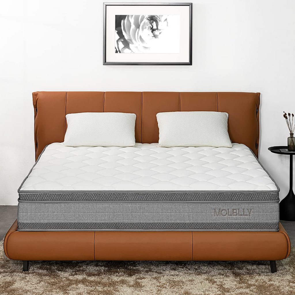 Jual Molblly Queen kasur spons busa spring bed tebal 25cm empuk lantai ...