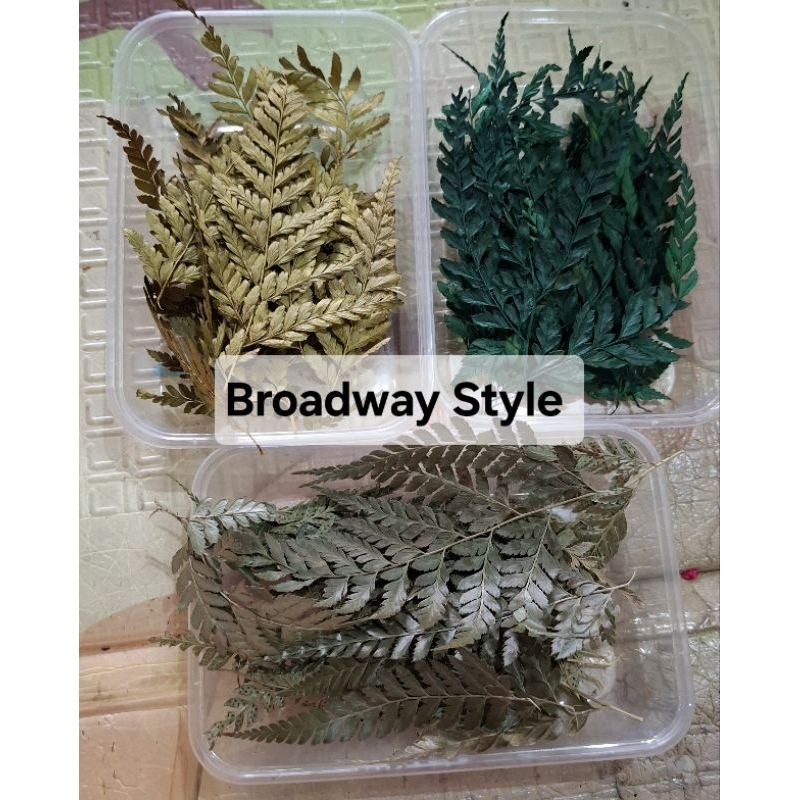 Jual Daun Kering Hiasan Craft DIY Cake Topper Non Edible Scrap Resin ...