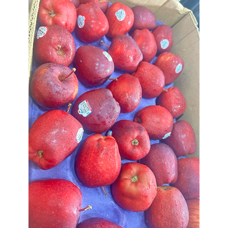 Jual Buah Apel Red Buah Apel Merah Red Dell USA | Shopee Indonesia