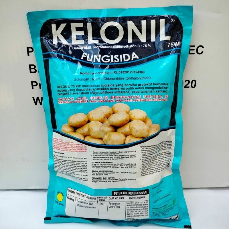 Juda katta fotografiya