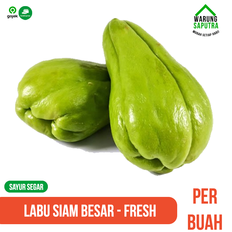 Jual Labu Siam Besar / Waluh Besar Segar per buah | Shopee Indonesia