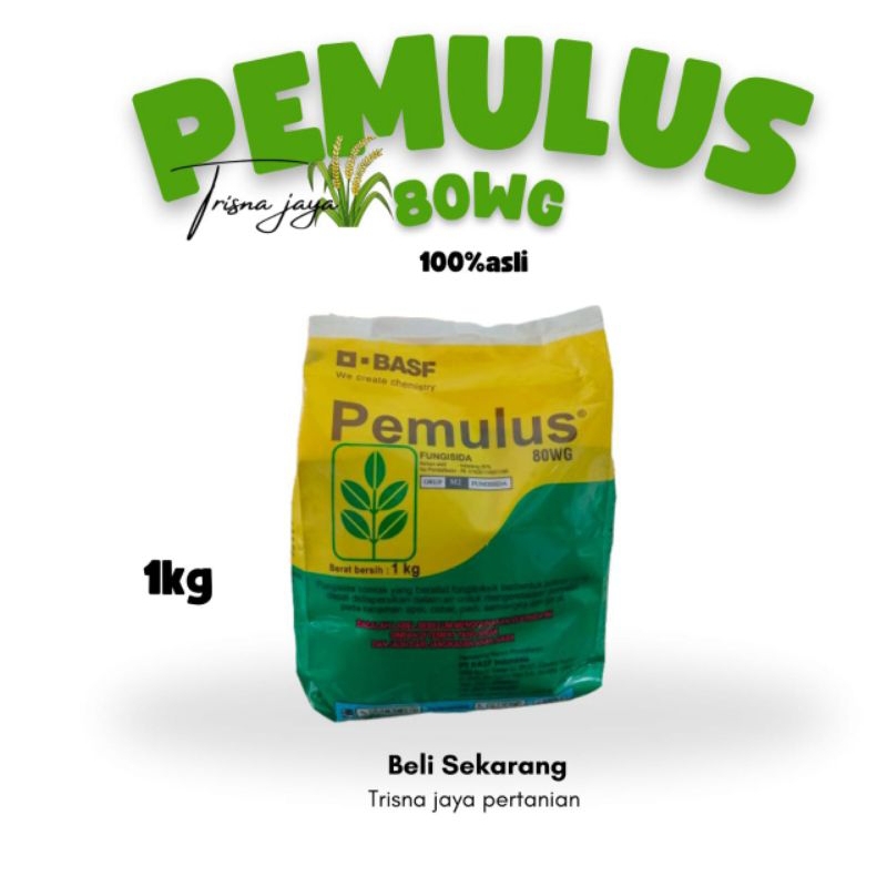 Jual PEMULUS 80WG 1KG FUNGISIDA+BAKTERISIDA | Shopee Indonesia