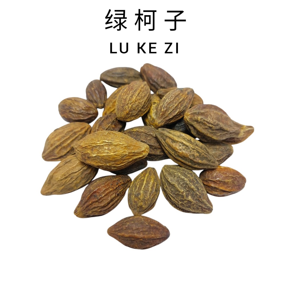 Jual Lu Ke Zi - He Zi - Untuk Meredakan Batuk dan Suara Hilang - Herbal ...