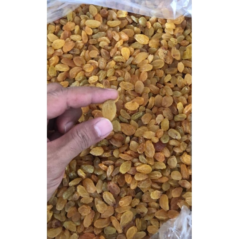 Jual Kismis Ruhani Sangli Golden Round India Kismis Emas 1 kardus 10 kg ...