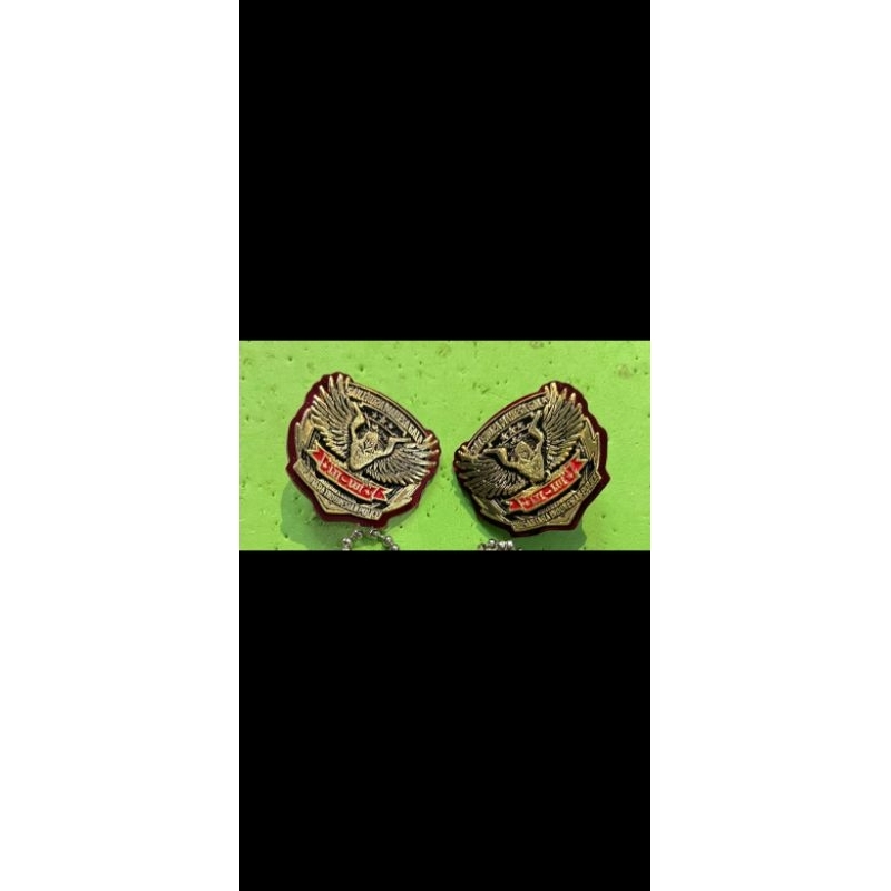 Jual Pin 5AILEND2A MAHE5A 6ALA / Pin 5256 / Pin SAILENDRA MAHESA GALA ...