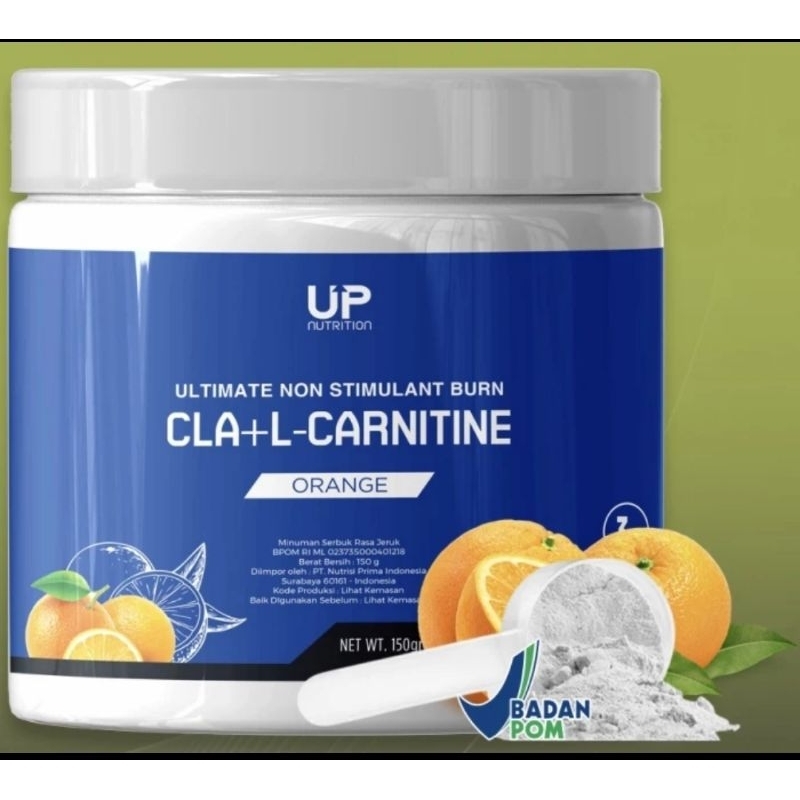 l carnitine limit per day Jual UP NUTRITION FAT BURNER NON STIMULANT CLA + L-CARNITINE 150 GR 50  SERVING BPOM HALAL MAKASSAR