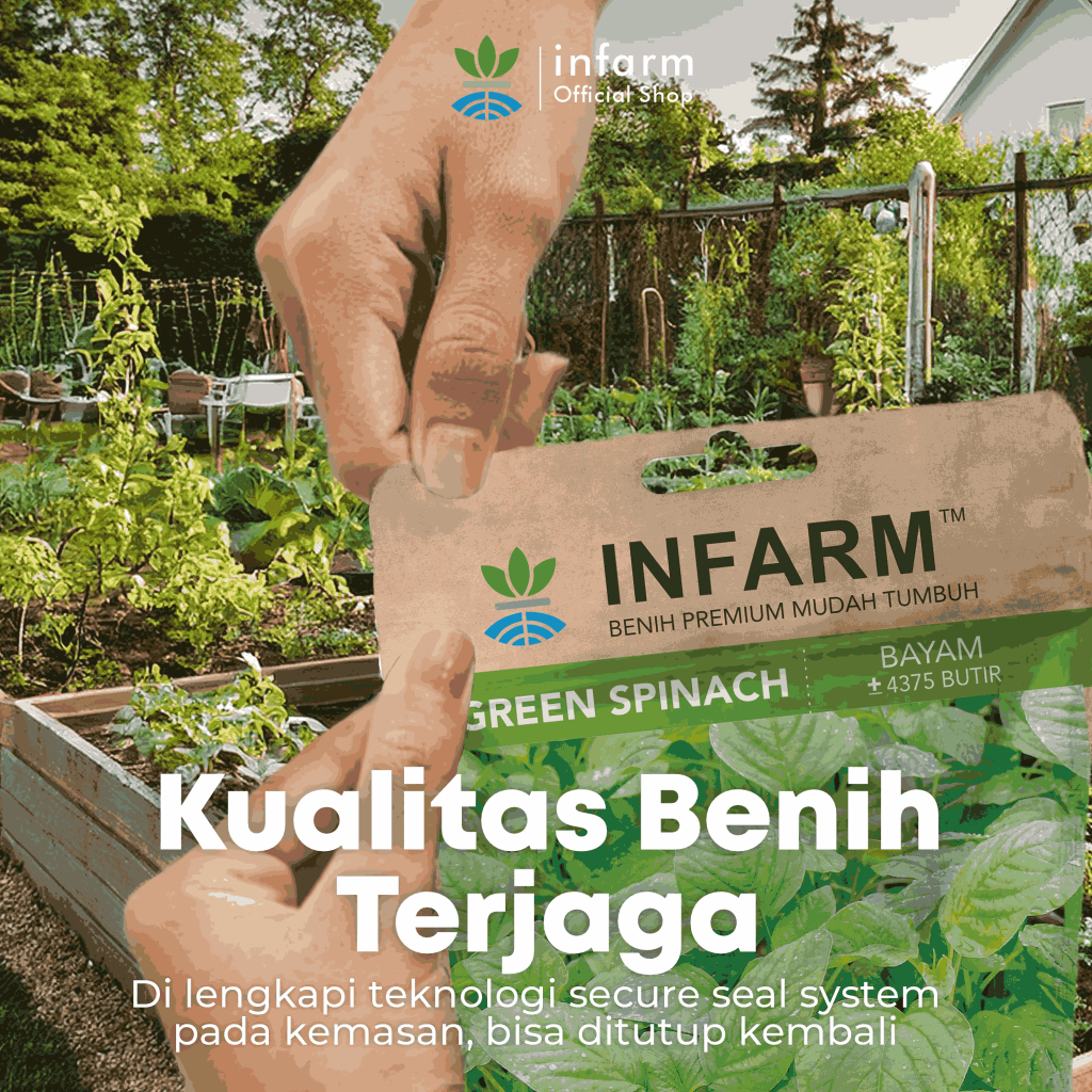 Jual INFARM - Benih Sayur Bayam Hijau, Benih Unggul Sayur Bayam Hijau ...
