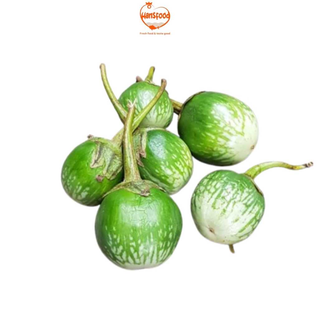 Jual Terong Hijau Bulat | Shopee Indonesia