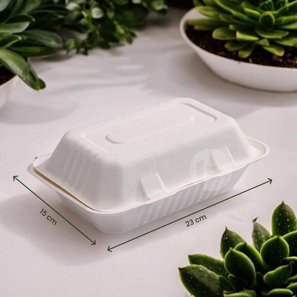 Jual [25 pcs] Clamshell Bagasse 9x6" | Kotak Lunch Box Eco Friendly ...