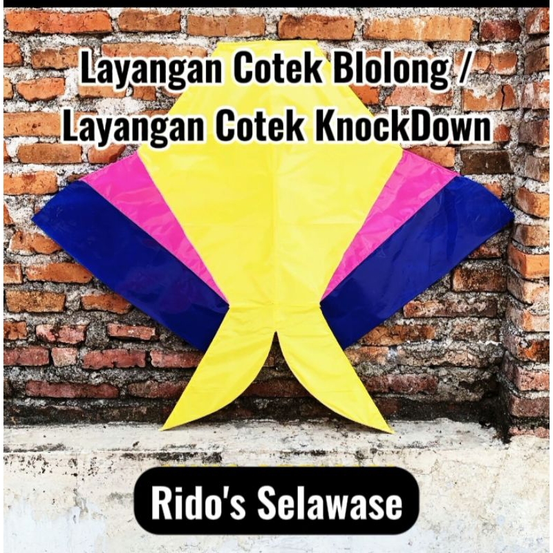 jual-layang-layang-cotek-blolong-knock-down-size-sayap-90cm-shopee